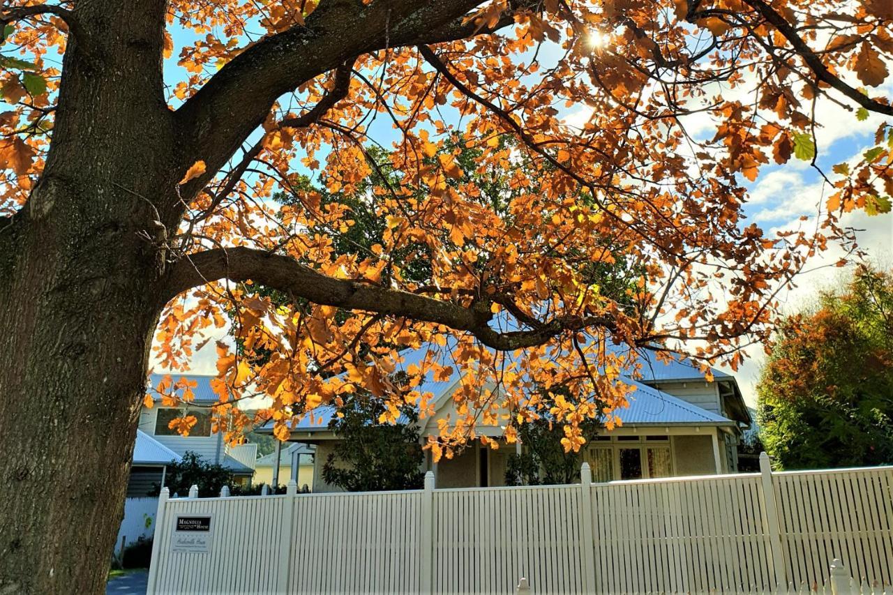 Healesville House - Magnolia House Exterior photo